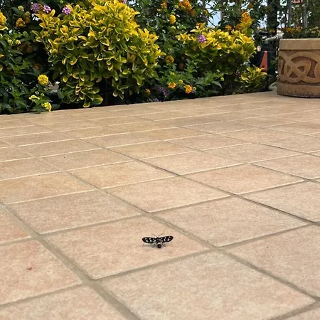 B&B Residenza De Luca 트로페아