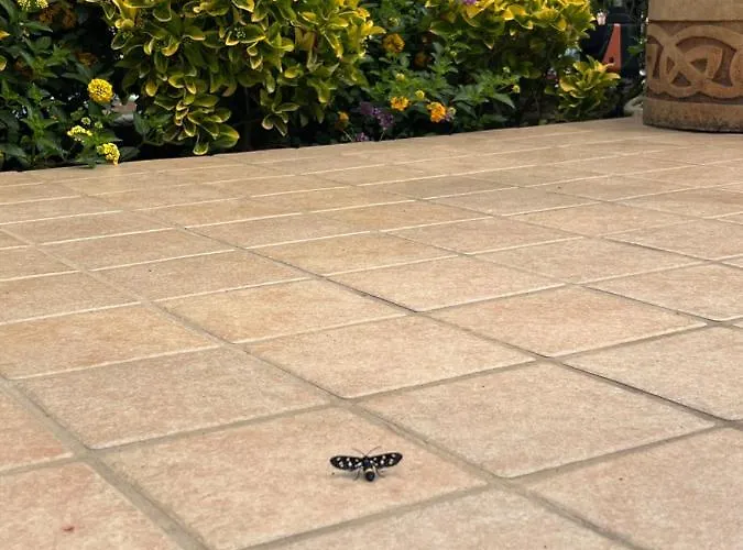 לינה וארוחת בוקר Residenza De Luca טרופאה